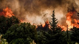 Φωτιά στην Αχαΐα: Καίγονται σπίτια και επιχειρήσεις – 3 άνθρωποι στο νοσοκομείο (εικόνες & βίντεο)