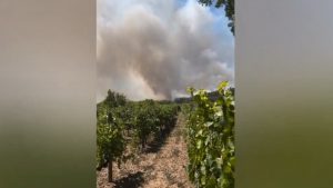 Βουλγαρία: Πάνω από 200 πυρκαγιές ξέσπασαν την Κυριακή 10/8 (Βίντεο)