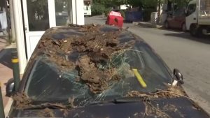 Δέντρο καταπλάκωσε αυτοκίνητο στον Χολαργό