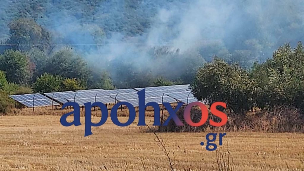 Φωτιά στο Δίστομο – Στο σημείο σπεύδουν ισχυρές πυροσβεστικές δυνάμεις (Βίντεο)