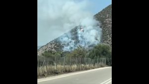 Υπό έλεγχο η φωτιά στην Ερμιόνη Αργολίδας – Σηκώθηκαν έξι εναέρια μέσα (βίντεο)