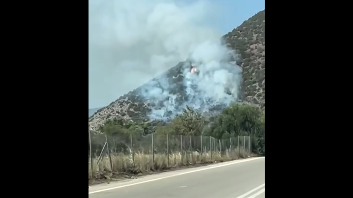 Υπό έλεγχο η φωτιά στην Ερμιόνη Αργολίδας – Σηκώθηκαν έξι εναέρια μέσα (βίντεο)