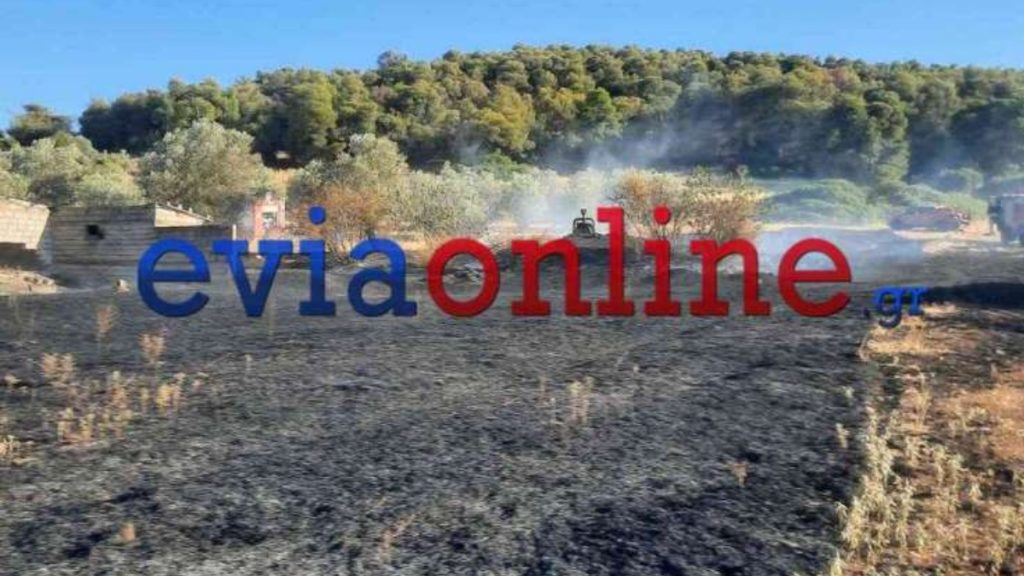 Εύβοια: Φωτιά στον Δήμο Διρφύων – Τραυματίστηκαν πυροσβέστης