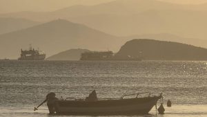 Νέα Στύρα: «Δεν ενημέρωσε ο πλοίαρχος ως όφειλε για την προσάραξη του πλοίου» λέει το υπουργείο Ναυτιλίας