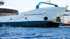 Νέα Στύρα: Ομαδικές αγωγές από επιβάτες του φέρι μποτ στην Εύβοια (βίντεο)