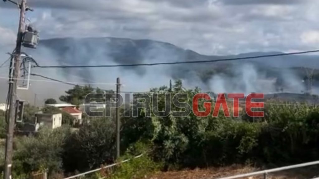 Πυρκαγιά σε χαμηλή βλάστηση στους Φιλιάτες Θεσπρωτίας – Ήχησε το 112 (βίντεο)