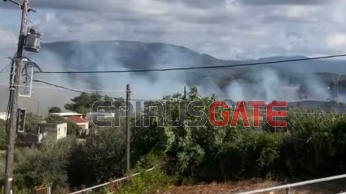 Πυρκαγιά σε χαμηλή βλάστηση στους Φιλιάτες Θεσπρωτίας – Ήχησε το 112 (βίντεο)
