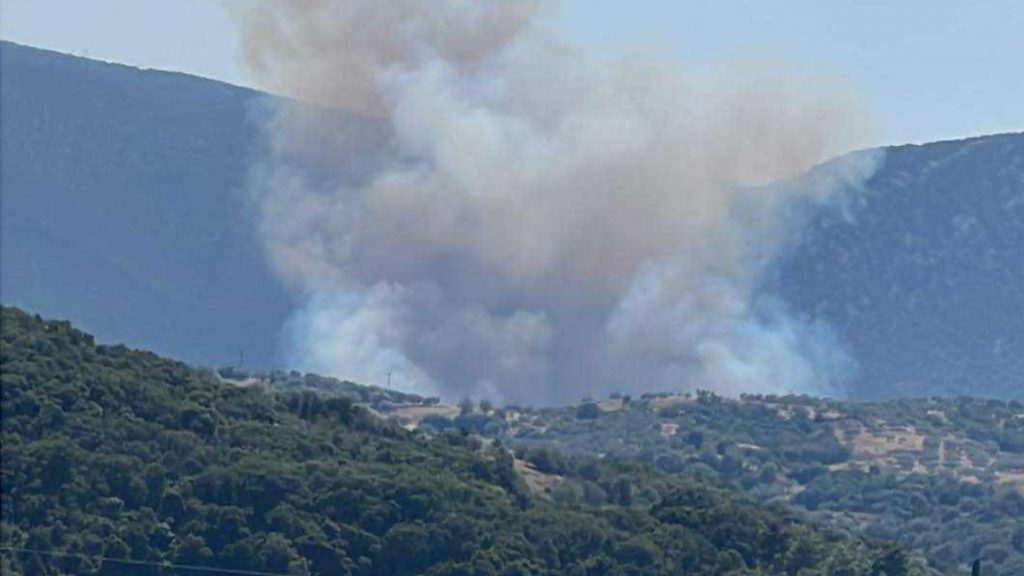 Φωτιά σε αγροτοδασική έκταση στην Πελεή Αργολίδας – Επιχειρούν 6 εναέρια μέσα