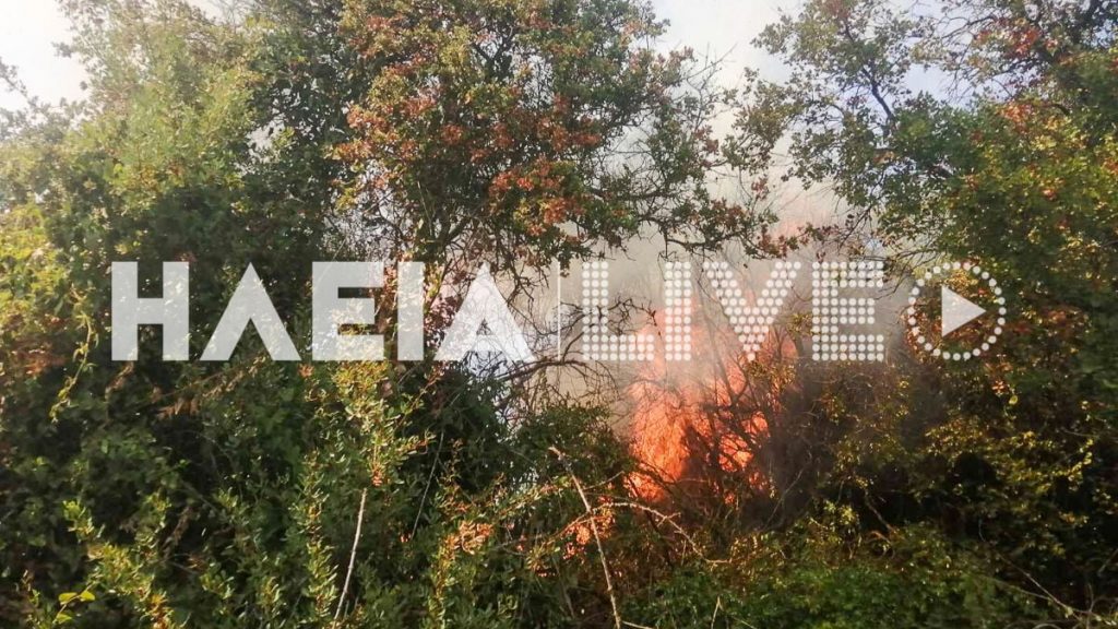 Φωτιά σε αγροτοδασική έκταση στο Πηγάδι Ηλείας – Στη μάχη 4 εναέρια (Εικόνες)