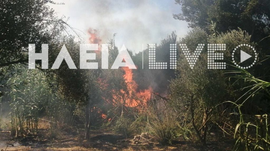 Φωτιά στην περιοχή Μέλισσα Λεχαινών Ηλείας: Μαίνεται το πύρινο μέτωπο – Ενισχύθηκαν οι δυνάμεις της Πυροσβεστικής