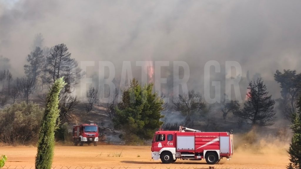 Υπό έλεγχο η φωτιά στην Παιανία – Ενισχύθηκαν προληπτικά οι δυνάμεις της πυροσβεστικής (Φωτογραφίες & Βίντεο)