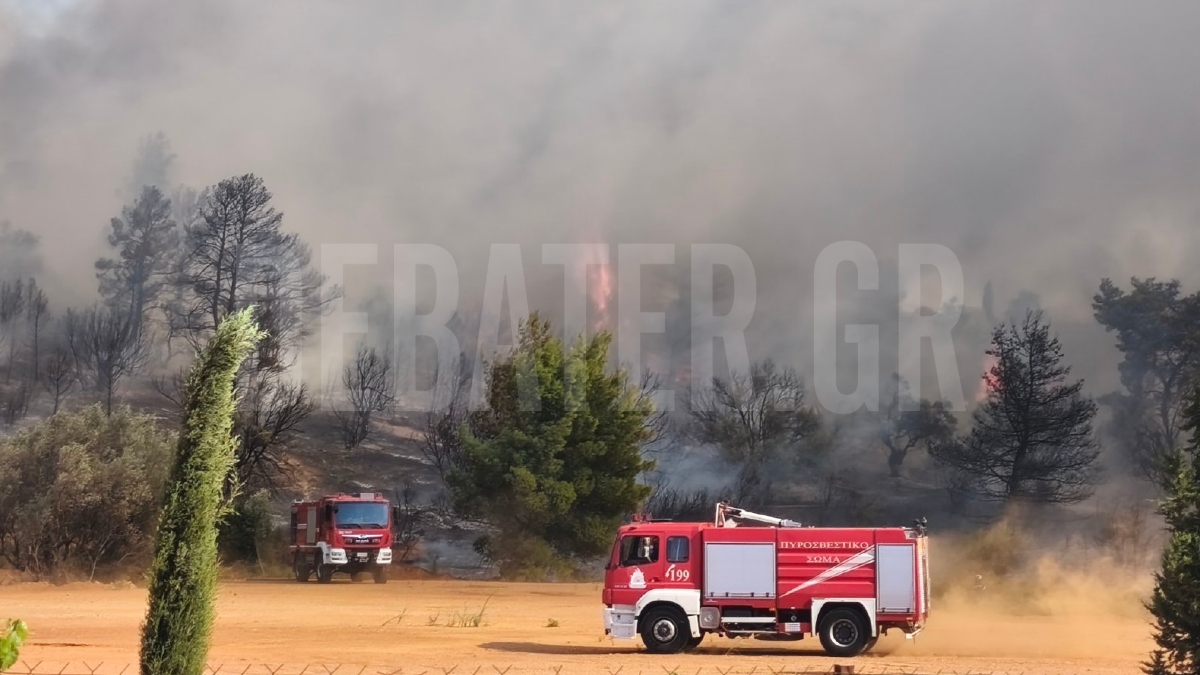 Υπό έλεγχο η φωτιά στην Παιανία – Ενισχύθηκαν προληπτικά οι δυνάμεις της πυροσβεστικής (Φωτογραφίες & Βίντεο)