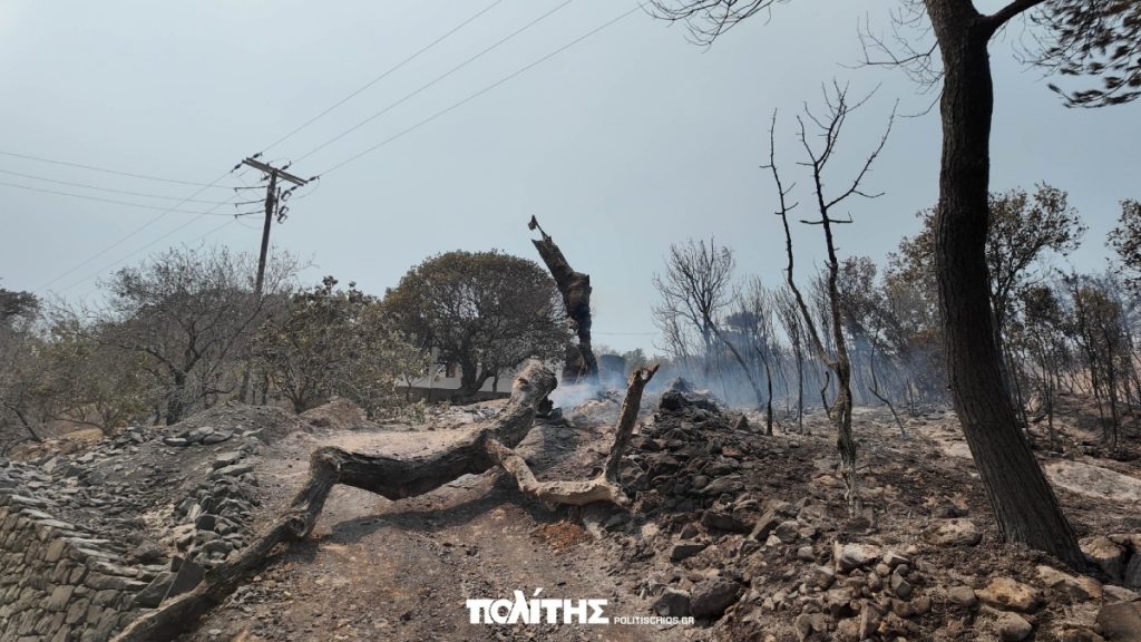 Φωτιά στη Χίο: Μάχη με τις φλόγες οι πυροσβεστικές δυνάμεις – Νέο μήνυμα του 112 για εκκένωση οικισμού