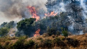 Φωτιά στην Πάτρα: Μαίνονται ανεξέλεγκτα τα πύρινα μέτωπα – Συνελήφθη 25χρονος για εμπρησμό