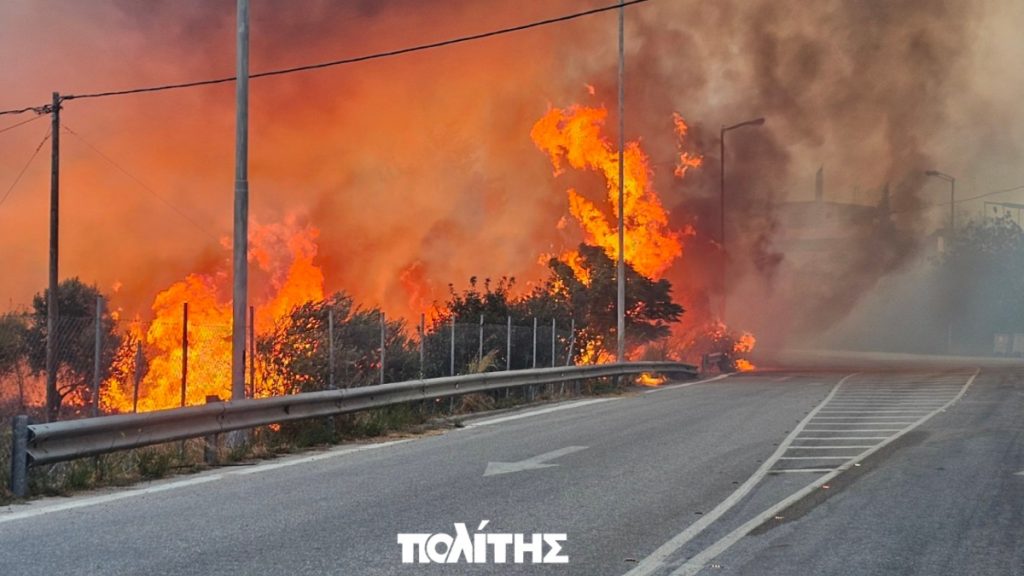 Φωτιά στη Χίο: Ανεξέλεγκτα τα πύρινα μέτωπα – Ενισχύθηκαν οι δυνάμεις της Πυροσβεστικής – Απεγκλωβίστηκαν 63 άτομα