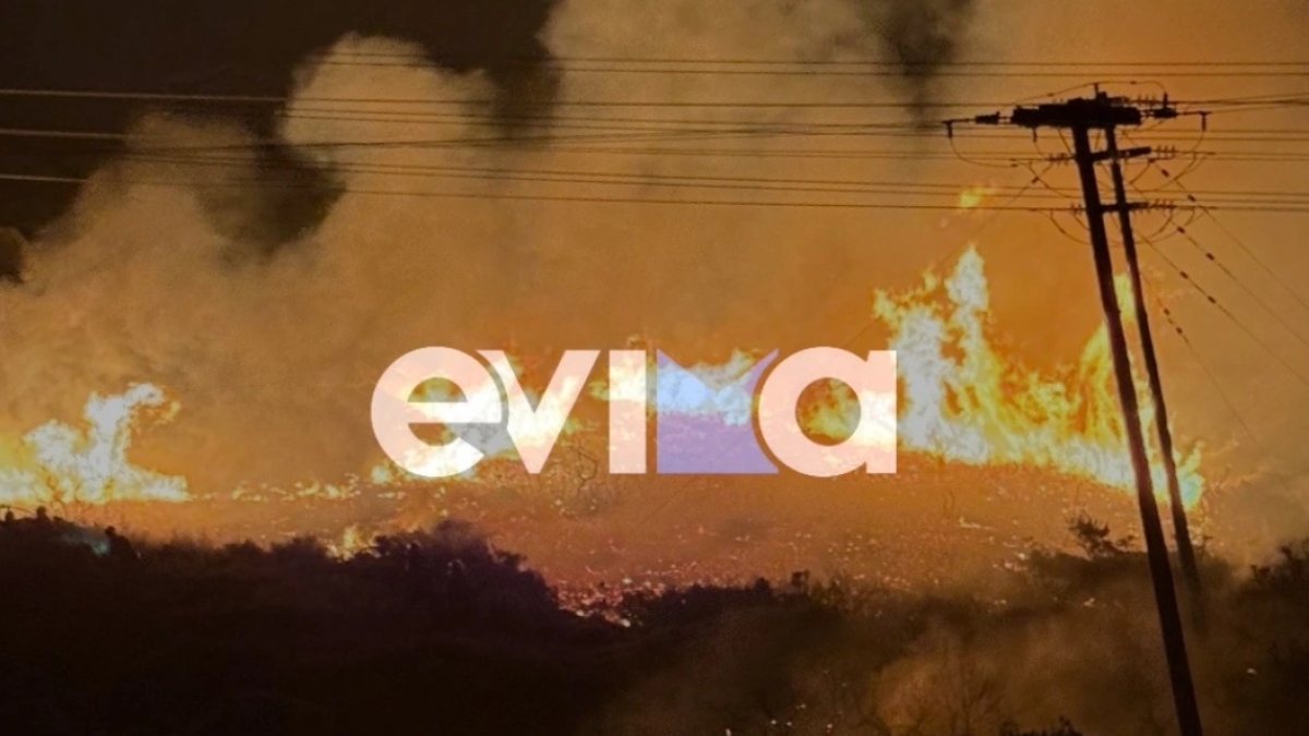 Φωτιά στα Μεσοχώρια Ευβοίας – Τέθηκε υπό μερικό έλεγχο