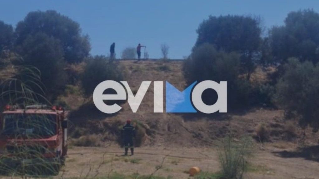Χαλκίδα: Ανήλικος έβαλε φωτιά παίζοντας με βεγγαλικά – Τον εντόπισαν σε κατάσταση πανικού
