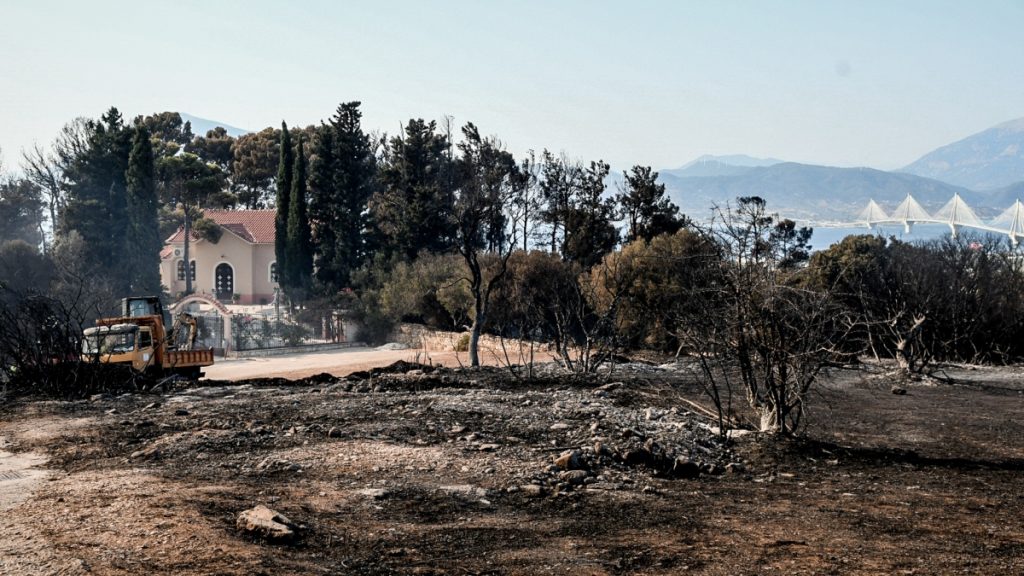 Δορυφορικές εικόνες από τις πυρκαγιές – Στάχτη πάνω από 100.000 στρέμματα σε Χίο, Ζάκυνθο, Πρέβεζα και Κάτω Αχαΐα