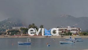 Πυρκαγιά στον Μαούνη Ευβοίας – Σηκώθηκαν έξι εναέρια μέσα (βίντεο)