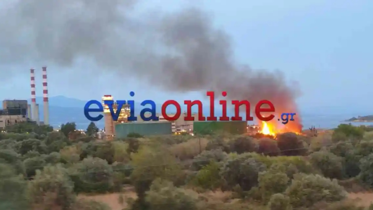 Εύβοια: Οριοθετήθηκε η φωτιά στο Αλιβέρι κοντά στο εργοστάσιο της ΔΕΗ (βίντεο)