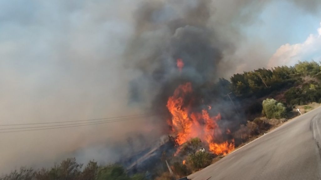 Πυροσβεστική: 31 αγροτοδασικές πυρκαγιές εκδηλώθηκαν το τελευταίο 24ωρο