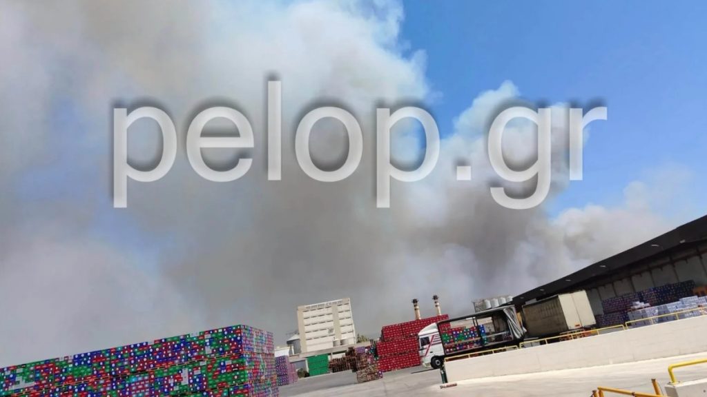 Φωτιά τώρα σε χαμηλή βλάστηση στα Φλογεραίικα Ερυμάνθου Αχαΐας – Στην μάχη 1 ελικόπτερο