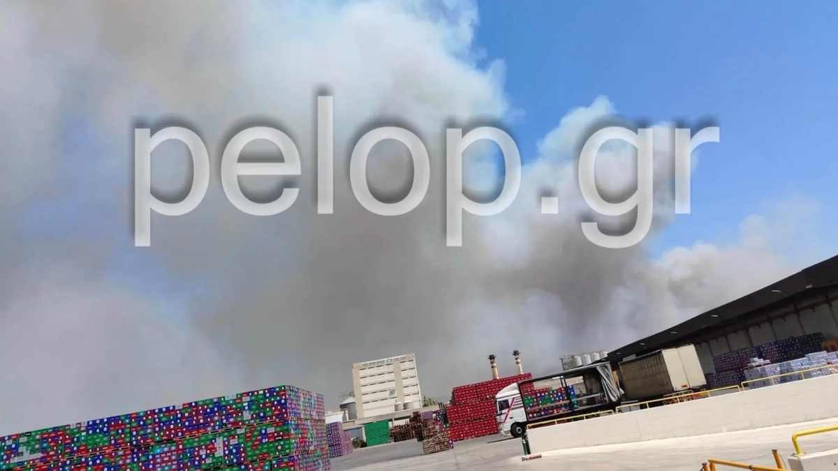Φωτιά τώρα σε χαμηλή βλάστηση στα Φλογεραίικα Ερυμάνθου Αχαΐας – Στην μάχη 1 ελικόπτερο