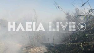 Φωτιά σε δύο εστίες στα Καλύβια Ηλείας – Στη μάχη πέντε εναέρια