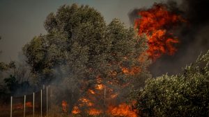 Φωτιά στην Κερατέα: «Εγκλωβιστήκαμε, οι φλόγες είναι τεράστιες» λέει εθελοντής πυροσβέστης