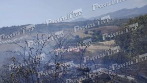 Οριοθετήθηκε η φωτιά στην Νέα Σινώπη Πρέβεζας μετά από άμεση επέμβαση της πυροσβεστικής