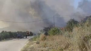 Φωτιά στην Πρέβεζα: Καίγονται Καστροσυκιά, Βρυσούλα και Μύτικα – Ενεργοποίηση του 112 για εκκενώσεις “Απομακρυνθείτε προς Ηγουμενίτσα” (Βίντεο)