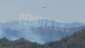 Φωτιά στην Ρόδο: Καίει κοντά στην κοιλάδα με τις πεταλούδες – Στην μάχη εναέρια μέσα (Εικόνες)