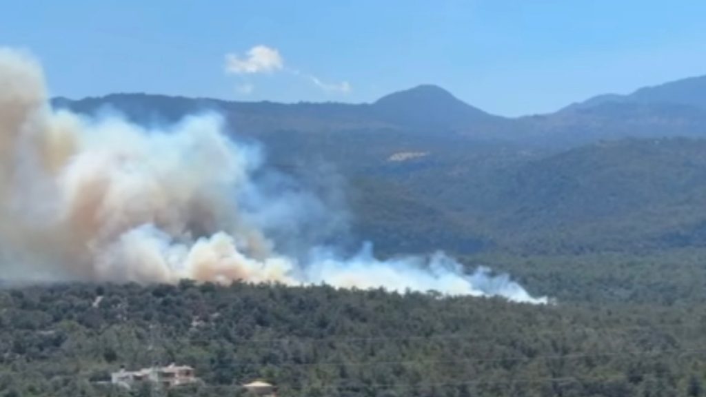 Δασική πυρκαγιά στο Βαθύ Αγίου Νικολάου Κρήτης – Ήχησε το 112