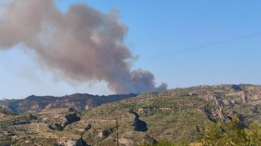 Φωτιά σε δασική έκταση στο Χελιδόνι Αρχαίας Ολυμπίας