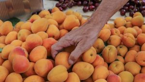 Κυρώσεις σε φορέα πιστοποίησης βιολογικών προϊόντων
