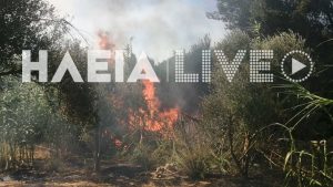 Πυρκαγιά σε χαμηλή βλάστηση στην περιοχή Μέλισσα Λεχαινών Ηλείας – Σηκώθηκαν εναέρια μέσα – Ήχησε το 112 (εικόνες)