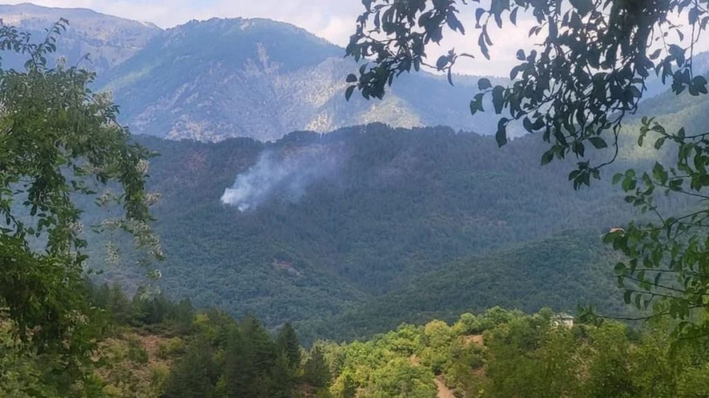 Φωτιά στη Λάιστα Ιωαννίνων – Καίει δασική έκταση