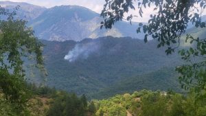 Φωτιά στη Λάιστα Ιωαννίνων – Καίει δασική έκταση