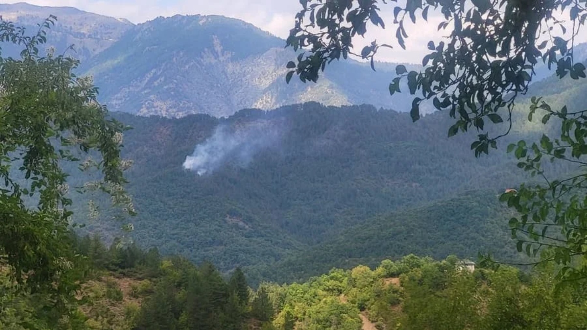 Φωτιά στη Λάιστα Ιωαννίνων – Καίει δασική έκταση