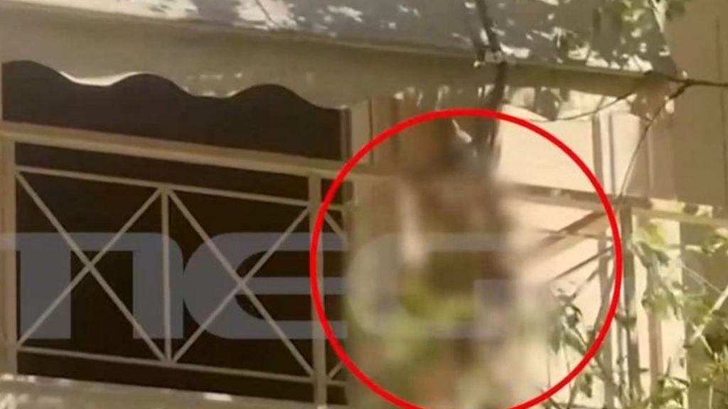 Καμίνια: «Ούρλιαζε, “είμαι κλειδωμένος και μόνος”» – Σοκάρει η περιγραφή της γυναίκας που είδε τον 5χρονο στο μπαλκόνι