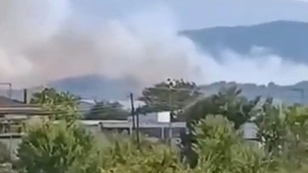Οριοθετήθηκε η Φωτιά στην Κρύα Βρύση Καρδίτσας