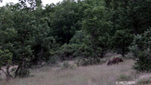 Καστοριά: Εντοπίστηκε νεκρός άνδρας στο «Βάραθρο του Χάρου» – Επιχείρηση για την ανάσυρση της σορού