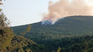 Φωτιά σε δασική έκταση στο Μακρυχώρι Καβάλας – Επιχειρούν 6 εναέρια μέσα