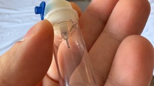 Πάτρα: Κουνούπι βρέθηκε σε συσκευή ορού ανοσοκατασταλμένου ασθενή στο νοσοκομείο Ρίου – Δείτε φωτογραφίες