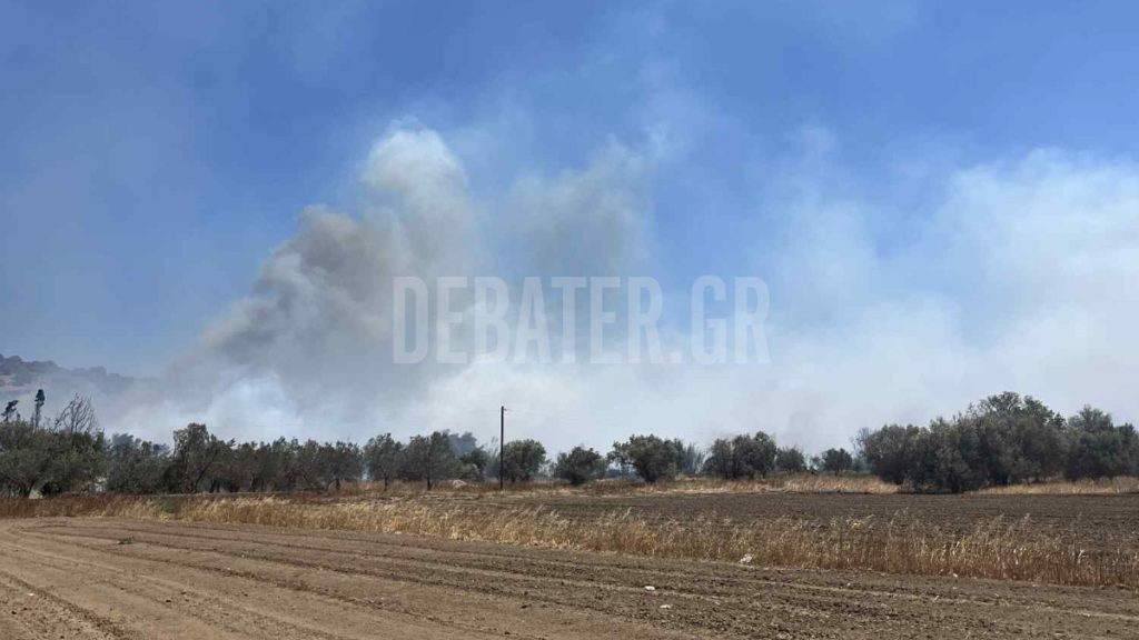 Σε ύφεση η φωτιά στο Λαύριο, ήχησε 2 φορές το 112 – “Ξεκίνησε πιθανόν από γόπα τσιγάρου, κινδύνευσε βενζινάδικο”