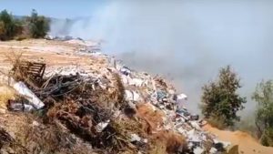 Πυρκαγιά στην Ανάληψη Μεσσήνης – Στη “μάχη” 2 αεροσκάφη (βίντεο)