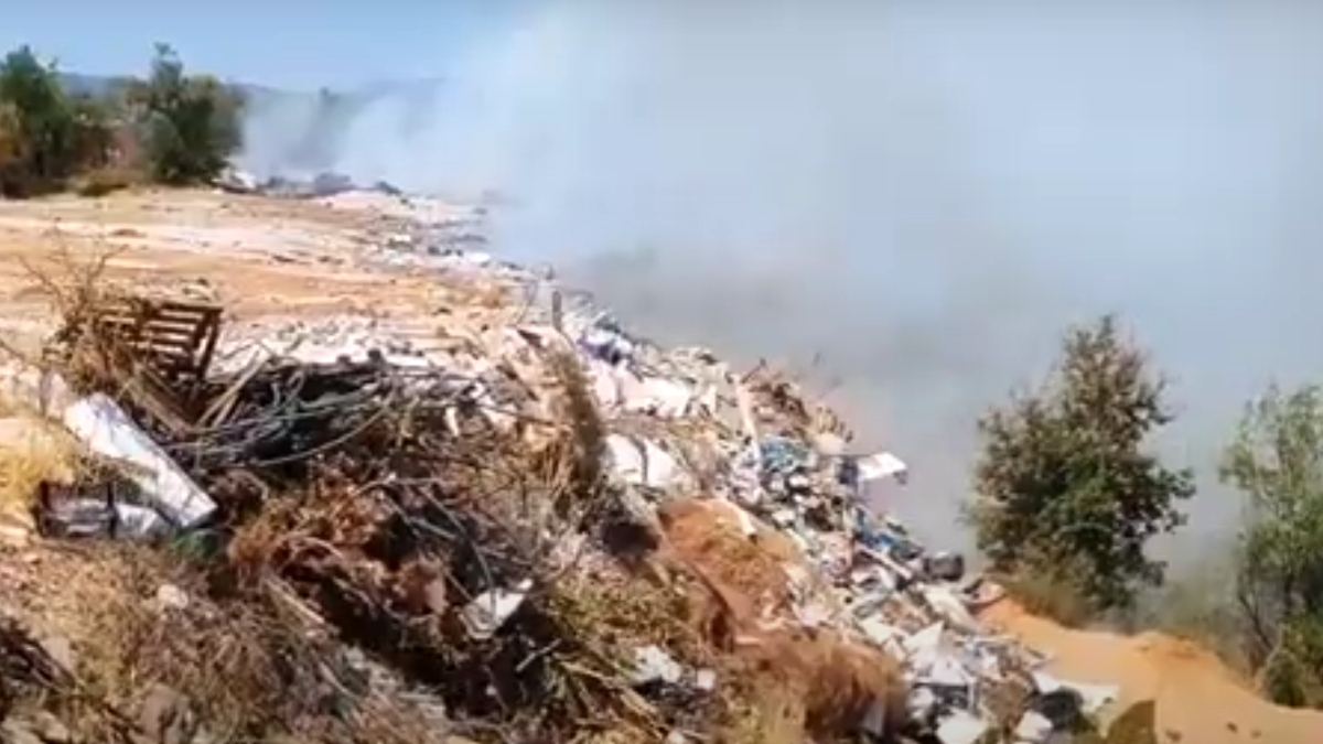 Πυρκαγιά στην Ανάληψη Μεσσήνης – Στη “μάχη” 2 αεροσκάφη (βίντεο+φωτογραφία)