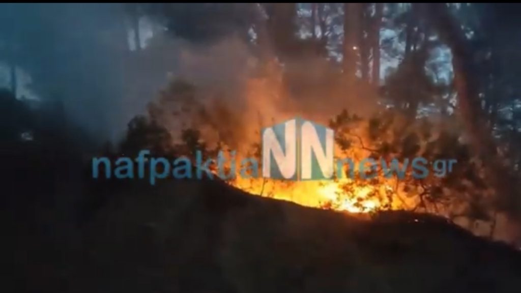 Φωτιά σε δασική έκταση στο Τρίκορφο Ναυπακτίας (Βίντεο)