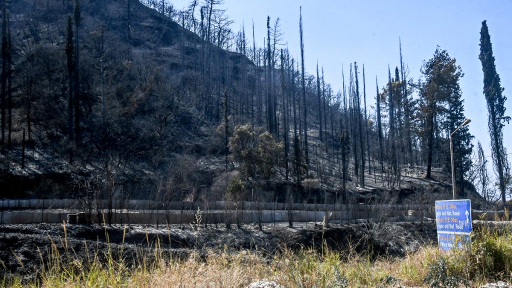 Σκηνές χάους στην Πάτρα – Άνδρας άρπαξε πυροσβεστικό υλικό εν μέσω πυρκαγιάς