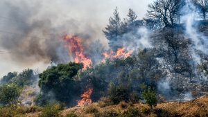 Υψηλός κίνδυνος πυρκαγιάς σήμερα για 17 περιοχές – Δείτε τον χάρτη επικινδυνότητας